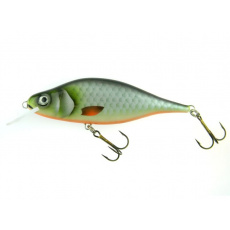 Dorado Tempter 10,5 cm GRO