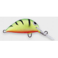 Dorado Alaska 2,5cm
