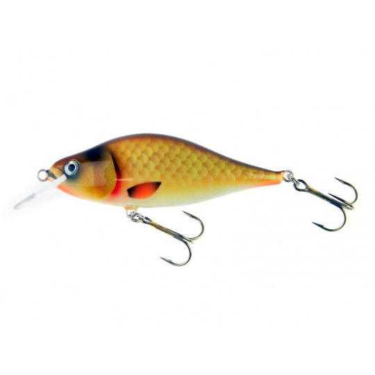 Dorado Tempter 10,5 cm AC